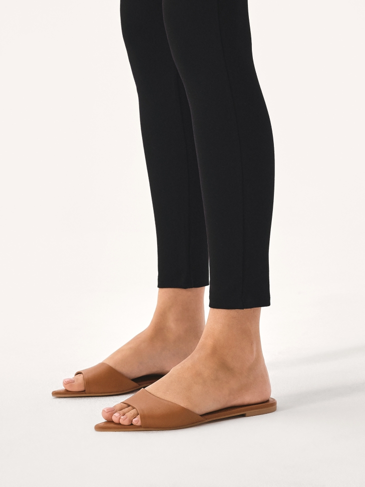 Lapos, hegyes orrú öszvérek FAWN